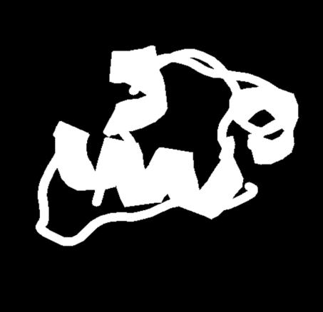 ج- من خالل برنامج راستوب تم تقديم النموذج البنيوي التالي لإلنسولين الوثيقة )04(: الوثيقة )04( البنية