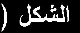الليزوزوم.