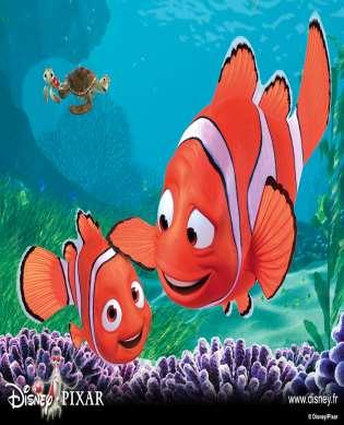 6. Finding