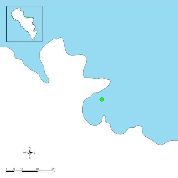 3.3.4. Βόρι Η θέση «Βόρι» (Εικόνα 9) βρίσκεται στο μέσον του ανατολικού τμήματος του νησιού. Πρόκειται για έναν μικρό κόλπο που προστατεύεται από τους έντονους βόρειους ανέμους.
