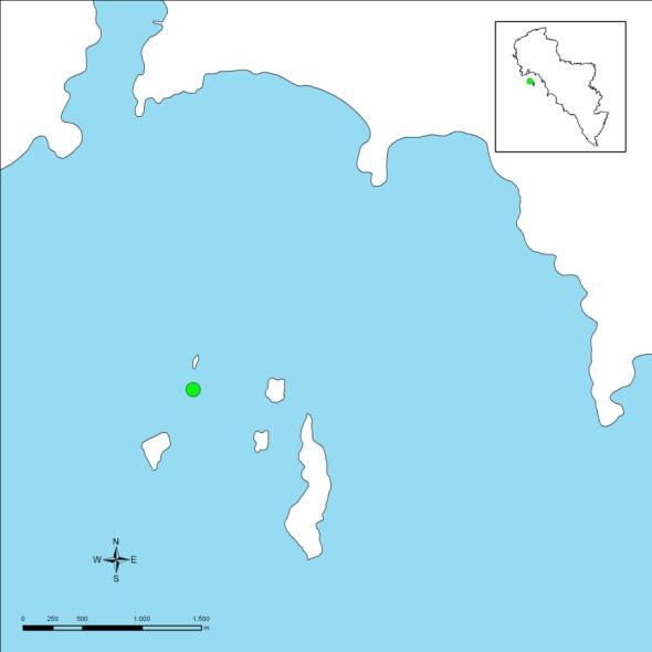 3.3.10. Γαυριονήσια 3 Η θέση «Γαυριονήσια 3» (Εικόνα 16) βρίσκεται στο βορειοδυτικό τμήμα του νησιού, νότια από το λιμάνι του Γαυρίου.