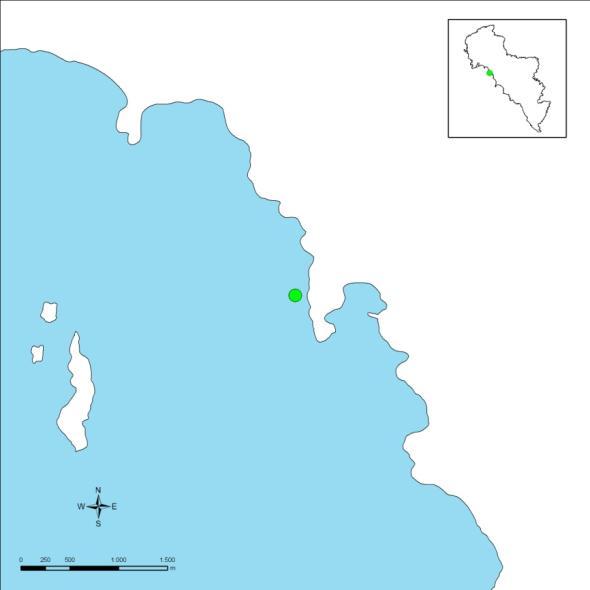 3.3.11. Γαυριονήσια 4 Η θέση «Γαυριονήσια 4» (Εικόνα 17) βρίσκεται στο βορειοδυτικό τμήμα του νησιού, κοντά στο λιμάνι του Μπατσίου.
