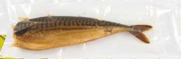 Mackerel Τονολακέρδα Φιλέτο
