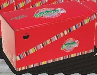 450g packaging