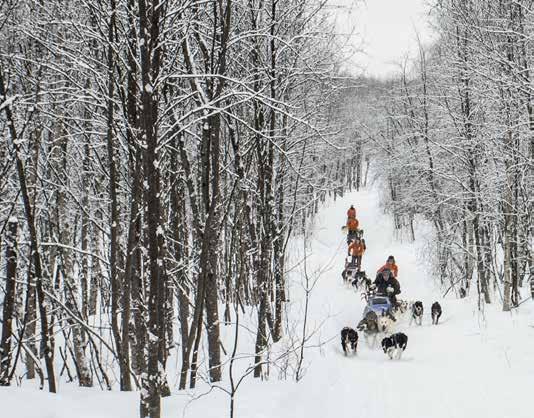 38 WINTER OUTDOOR Jackets & Parkas FJ LLR VEN Yupik Parka Μακρύ χειμερινό parka με αδιάβροχο ύφασμα και επενδυμένο με την ισχυρή συνθετική μόνωση Supreme Microloft της FjallRaven.