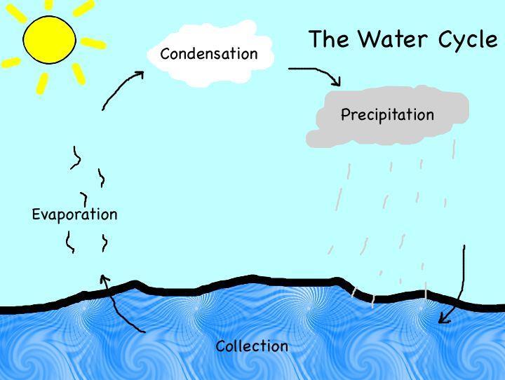 Κύκλος του νερού στα υδάτινα οικοσυστήματα o Η ανταλλαγή του νερού μεταξύ των ωκεανών και της ατμόσφαιρας πραγματοποιείται