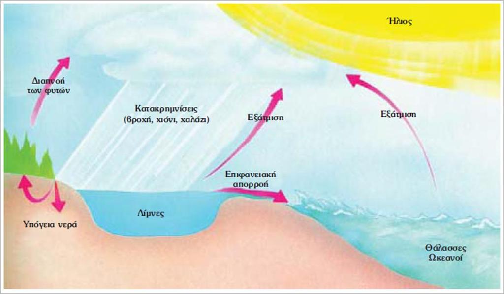 Κύκλος του νερού στα χερσαία οικοσυστήματα Το νερό που καταφθάνει στα χερσαία οικοσυστήματα με τις κατακρημνίσεις είναι δυνατό: 1. να εξατμιστεί, 2.