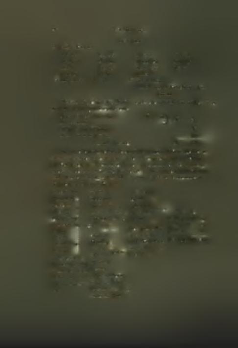 Veneti No 18.