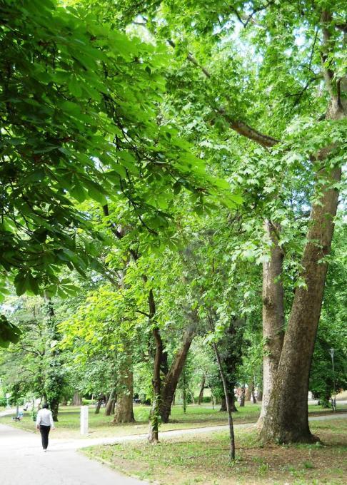 Intrare Grădina