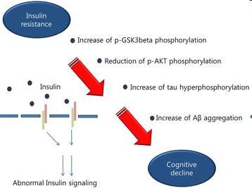 Η αντίσταση στην ινσουλίνη πυροδοτεί την προοδευτική μείωση της γνωσιακής λειτουργίας Ασθενείς με Alzheimer εμφανίζουν μειωμένη δράση