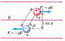6. ΗΛΕΚΤΡΙΚΑ ΔΙΠΟΛΑ Ένα ηλεκτρικό δίπολο είναι ζεύγος ηλεκτρικών φορτίων με ίσα μέτρα και αντίθετα πρόσημα q και -q, σε απόσταση l.