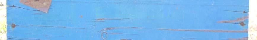 κυψέλης (Σεπτέμβρης 2005) Εικόνα 27.