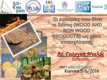 3.7 Οι ευκαιρίες που δίνει το Δάσος (WOOD AND NON WOOD PRODUCTS) ως μέσο