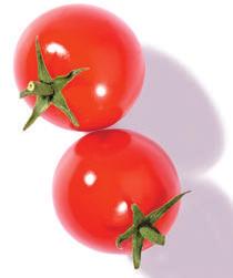 www.lidl-hellas.