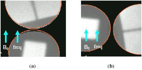 Εικόνα 2.4: Παραμόρφωση οφειλόμενη στη διαφορά μαγνητικής επιδεκτικότητας.