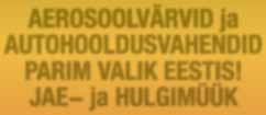 Ebaõnne rada Praegu 41-aastane Anneli ei saanud enam üksi hakkama 1998. aastal, mil nägemine oli juba nii kehv, et ei näinud enam imikust Karlise lutipudelit täita.