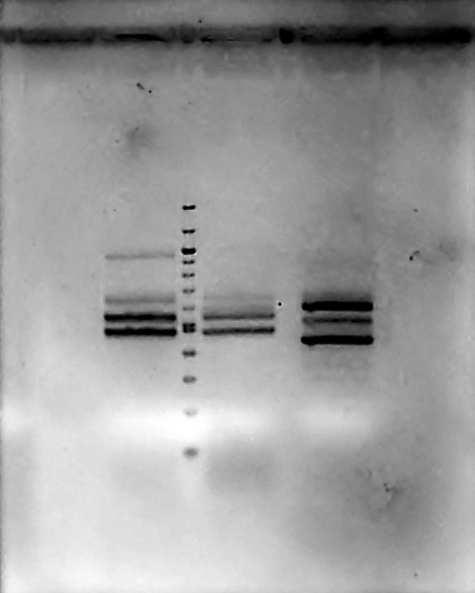 Εικ. 6.