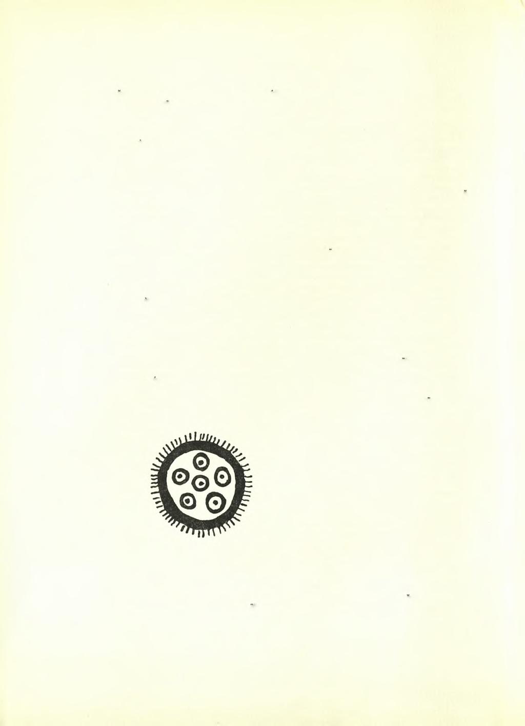 66 ΑΡΧΑΙΟΛΟΓΙΚΟΝ ΔΕΛΤΙΟΝ 19 (1964) : ΧΡΟΝΙΚΑ εχων έπ!