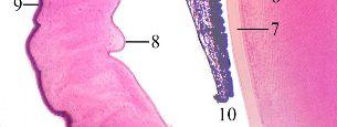 A) 1, 3, 4 B) 1, 2, 5 C) 3, 2, 4 D) 2, 4, 5 E) 3, 1, 5 468.