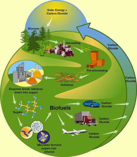 Τεχνολογία Καυσίμων Βιοκαύσιμα Το βιοκαύσιμο μπορεί να οριστεί ευρέως ως στερεό, υγρό ή αέριο καύσιμο που αποτελείται ή προέρχεται από βιομάζα η οποία επίσης να χρησιμοποιηθεί άμεσα για θέρμανση.