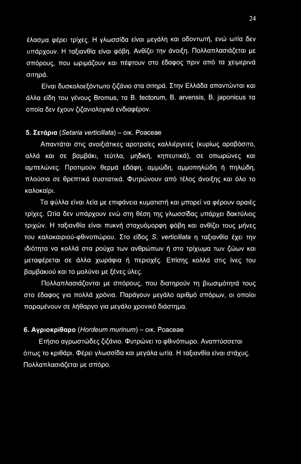 24 έλασμα φέρει τρίχες. Η γλωσσίδα είναι μεγάλη και οδοντωτή, ενώ ωτία δεν υπάρχουν. Η ταξιανθία είναι φόβη. Ανθίζει την άνοιξη.