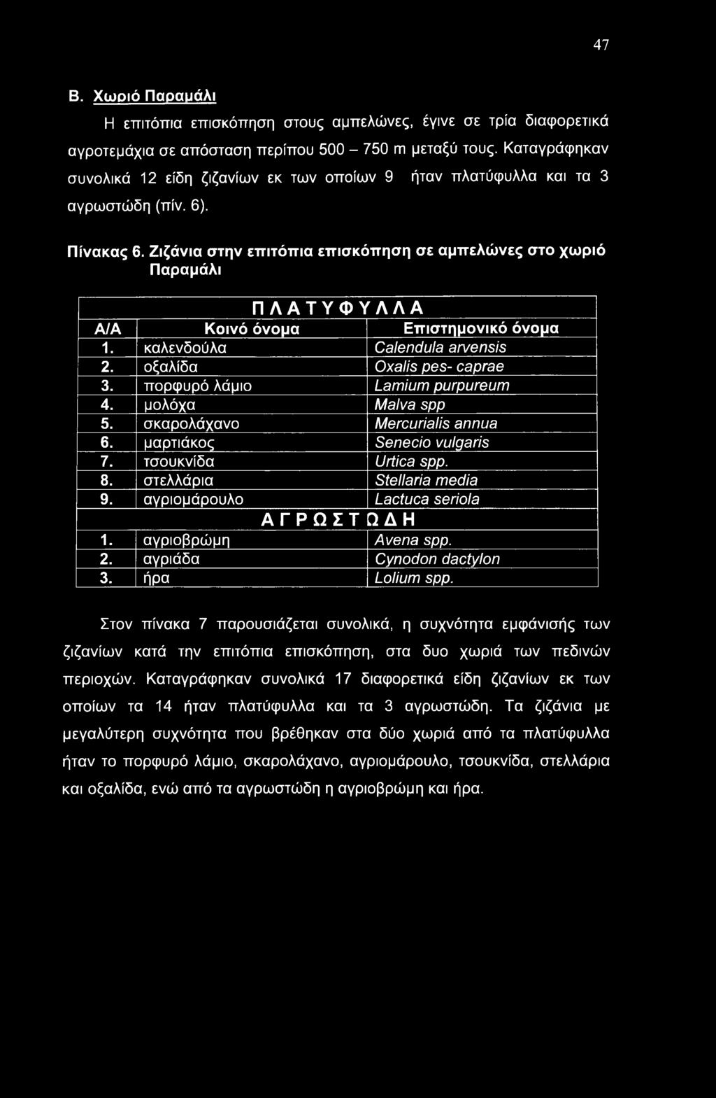 Ζιζάνια στην επιτόπια επισκόπηση σε αμπελώνες στο χωριό Παραμάλι ΠΛΑΤΥΦΥΛΛΑ ΑΙΑ Κοινό όνομα Επιστημονικό όνομα 1. καλενδούλα Calendula arvensis 2. οξαλίδα Oxalis pes- caprae 3.