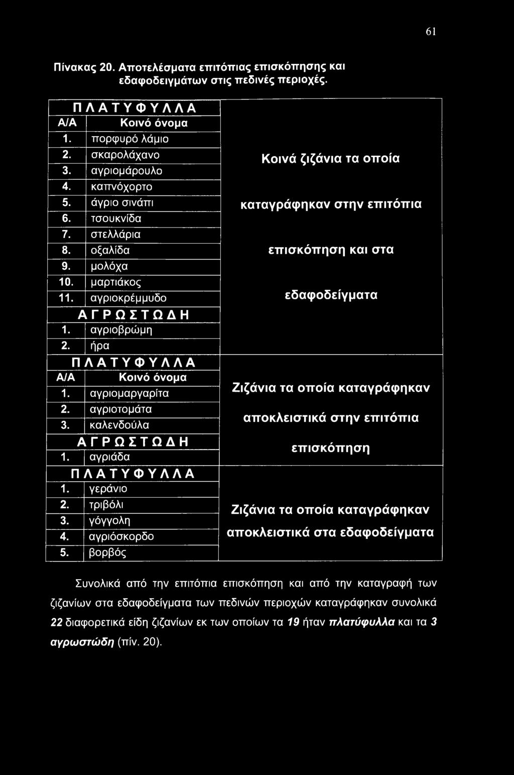 βορβός Κοινά ζιζάνια τα οποία καταγράφηκαν στην επιτόπια επισκόπηση και στα εδαφοδείγματα Ζιζάνια τα οποία καταγράφηκαν αποκλειστικά στην επιτόπια