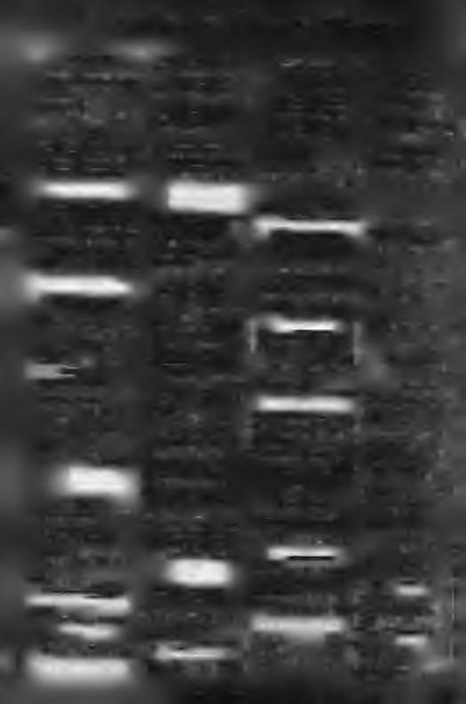 3133 1θχλρ. ΝάαίΛτ.-Π Νάουσας.-.23320 215SÔ-26347 Σ Υ Ν Ε Ρ Γ Ε ΙΑ Ε Μ Π Ο Ρ ΙΑ K A I S E R V IC E Ε Λ Α Σ Τ ΙΚ Ω Ν - Z A Ν ΤΟ Ν t W ΤΣΑΚΙΡΙΔΜΣ ΕΥΘΥΜ ΙΟΣ Θεσ/νικης 70 Βέραια.