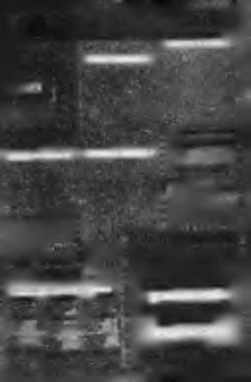 tri> π ίίότερπ σπμ»ω- Tainówpo a ο(ος ου»«ρίβ<1 π ο \ffx tm AIG U f e rtaixapat reoprior n m u o i t i o M t i z i N îw>rto)qij«tom.kieu.attiwûh ya IEUAia6Amí ΜΗΤΡΟΠΟΛΗ ^ ΒΕΡΟΙΑ Ττιλ.