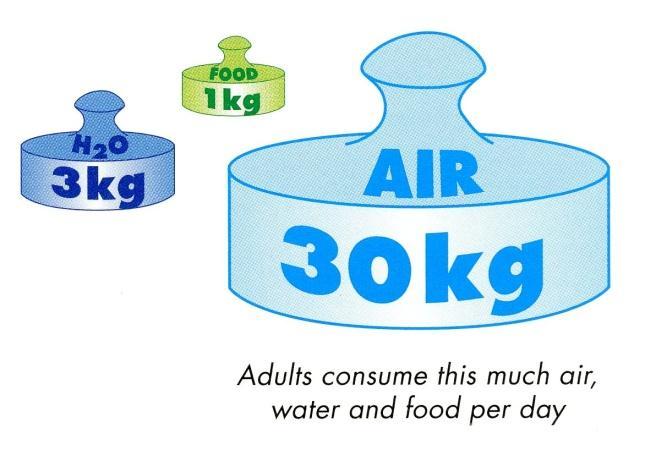 chimici periculosi in cladirile civile si industriale (aproximativ 8000 de substanţe care contaminează aerul interior): CO2, CO, H2O, COV, formaldehida, radon, NOx