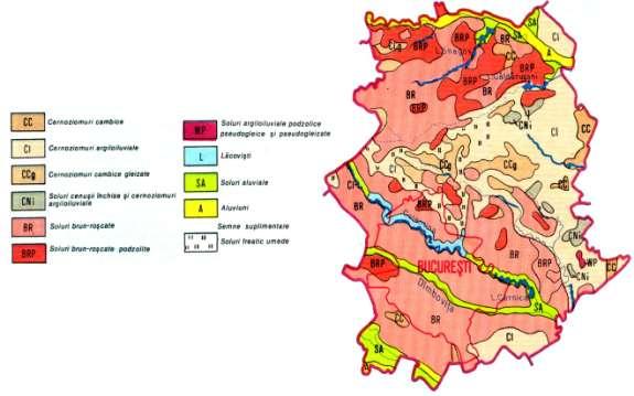 4.5. SOLUL Situat in partea vestica a Campiei Vlasiei, municipiul Bucuresti se caracterizeaza prin neta predominare a solurilor brun - roscate, la care se asociaza cernoziomurile argiloiluviale si