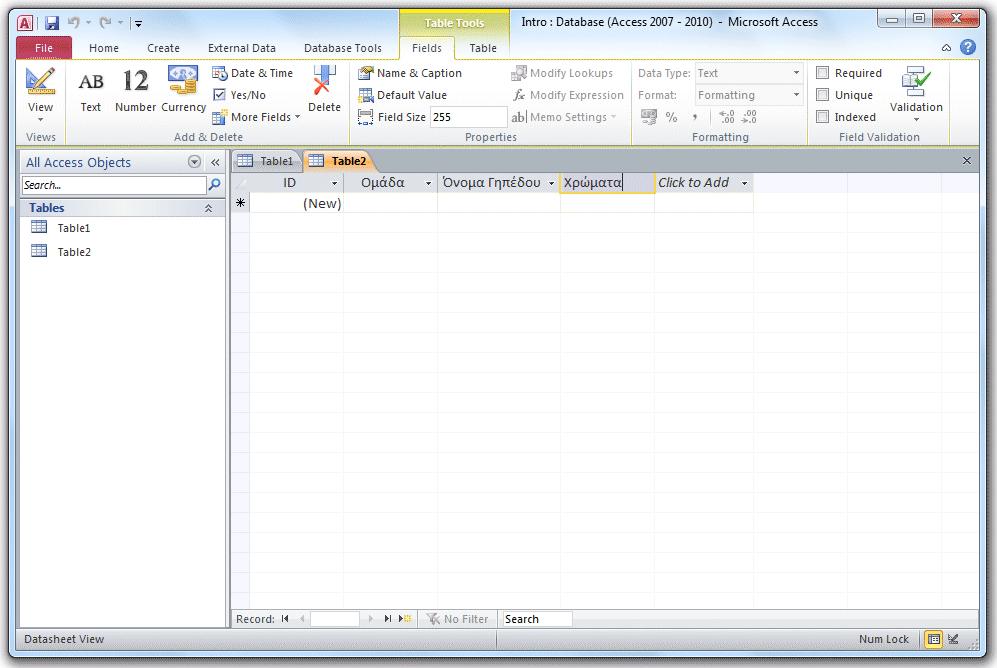 ΣΤΟΧΟΙ Άνοιγμα βάσης δεδομένων του Microsoft Access από τον Κεντρικό Υπολογιστή (Open) Δημιουργία Πίνακα με τη χρήση της Προβολής Φύλλου Δεδομένων (Datasheet View) Εναλλαγή Προβολών (Design View ή