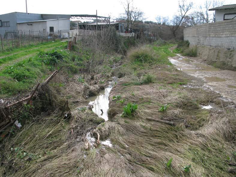 στο χειμαρρικό ρεύμα της Φούρκας (Νο 46).