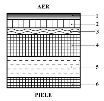 Plasturele transdermic 1 - strat exterior (din poliester) fara rol in functionarea plasturelui doar rol estetic, asigurand o culoare cat mai apropiata de cea a pielii 2 - strat subtire de aluminiu