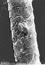 Metode şi tehnici de microscopie în metrologia textilă 119 Fig. IX.3.23.