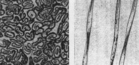 Proprietăţi fizice ale materialelor textile 145 
