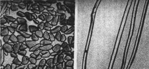 Aspect microscopic transversal /longitudinal al fibrelor naturale animale Tabelul IX.5.