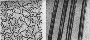 longitudinală formă cilindrică îngustată spre vârf; strat cuticular cu aspect solzos, format din celule exterioare cu grosime de 0,5-2 µm, în funcţie de fineţea lânii Mătase