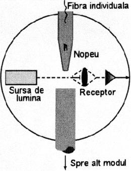 fibre se determină prin sesizarea diferenţei de fază corespunzătoare semnalului obţinut cu două detectoare identice; calibrarea sistemului se realizează cu fibre de bumbac de lungime