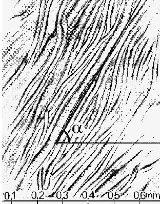42); continuitate (torsiune reală), cu acelaşi sens pe toată lungimea; discontinuitate (torsiune falsă), cu sens alternativ; număr de consolidări (simplu, răsucit, cablat). Fig. IX.5.42. Fir torsionat în sens S sau Z.