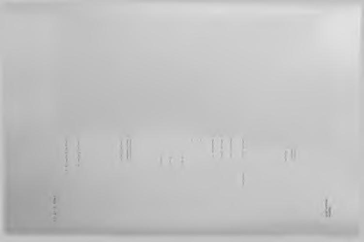 i Ί! 1 l