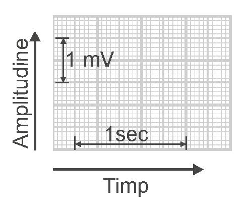 DESCRIEREA MORFOLOGICĂ A ELECTROCARDIOGRAMEI Analiza morfologică electrocardiogramei descrie elementele morfologice ale traseului ECG înregistrate în timpul unui ciclu cardiac.