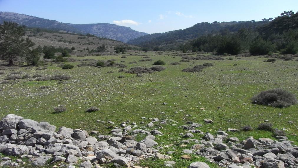 Στα χνάρια του Δρίμακου (Φωτ. 2.