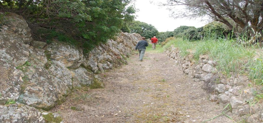 (Φωτ. 7. «Θεόκτιστα και Χωριατόστρατα») 8.