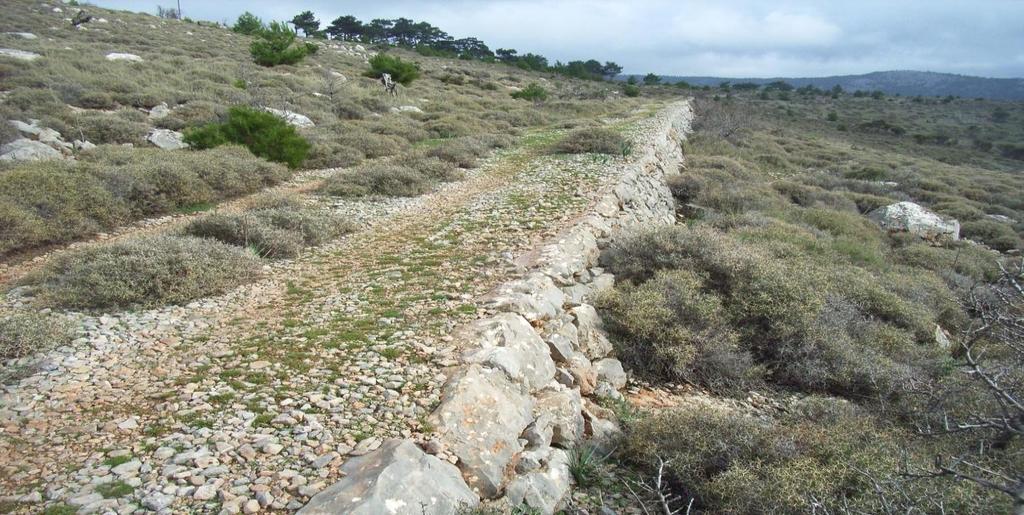 (Φωτ. 13. «Παλιός πετρόχτιστος δρόμος Βολισσού») 14.