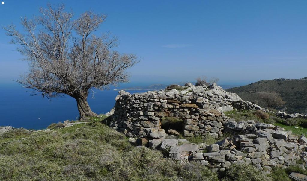 Δυτικά του φαραγγιού του Γιόσωνα ήταν τα μαντροκαθισιά του