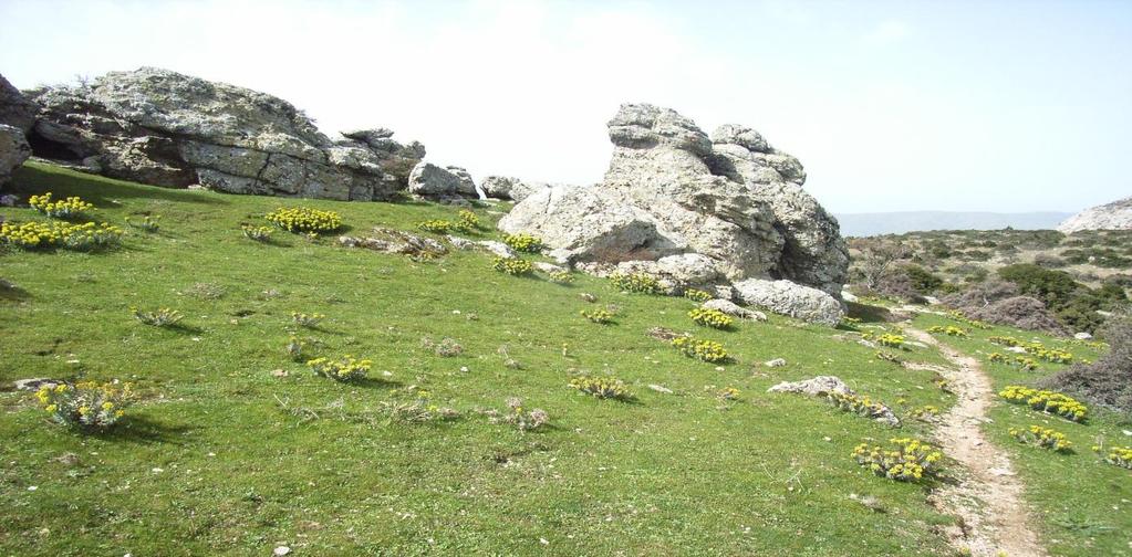 αρχίζει από τα Φυτά, διασχίζει τα Καβουρολάγκαδα αφήνοντας αριστερά