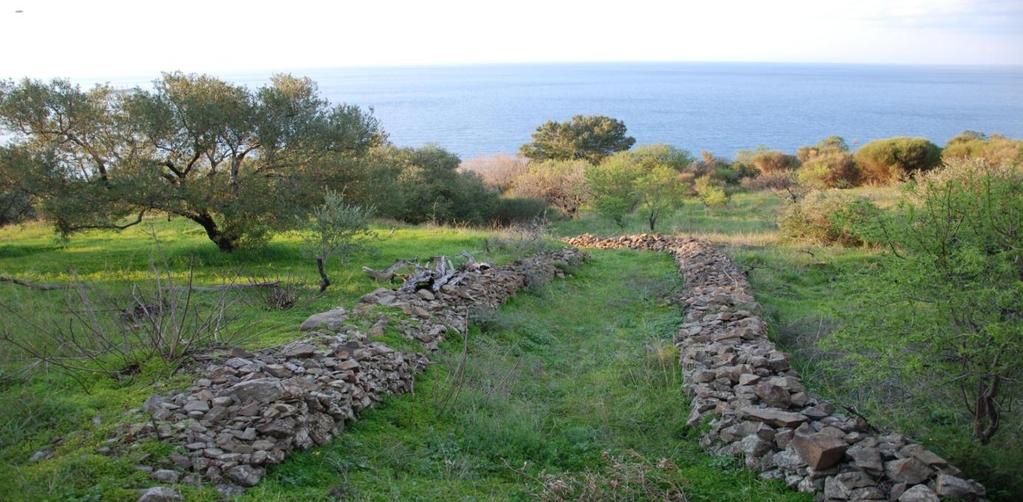 Στην τελική του μορφή δηλαδή θα μπορεί κάποιος να πηγαίνει από το ένα χωριό της Αμανής στο άλλο με τα πόδια, περπατώντας στα θαυμάσια αρχέγονα μονοπάτια.