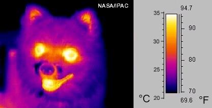 Izpeljanka pirometrov so tudi infrardeče kamere, ki merijo temperaturo v območju sobnih temperatur, in se uporabljajo npr.