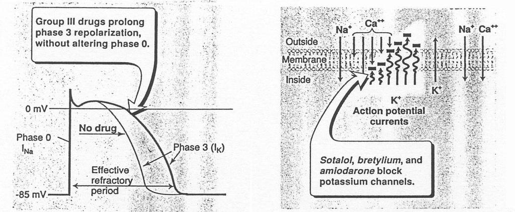 Doziranje Amiodaron i.v. 5 mg/kg početna doza tokom 20 min uz obaveznu EKG kontrolu + infuzija tokom 24h (ukupno 1000 mg) p.o. 600-1200 mg / dan 1-2 nedelje 400-800 mg / dan u toku